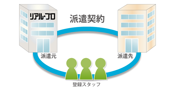 リアル・プロの人材事業　派遣契約と登録スタッフ
