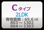 Cタイプ